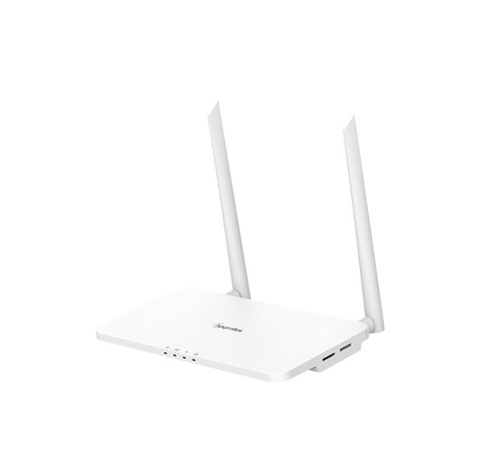 Hoymiles DTU-Pro-S