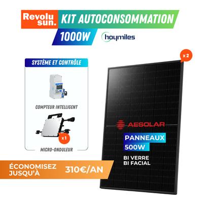 Kit autoconsommation micro-onduleur 1000W